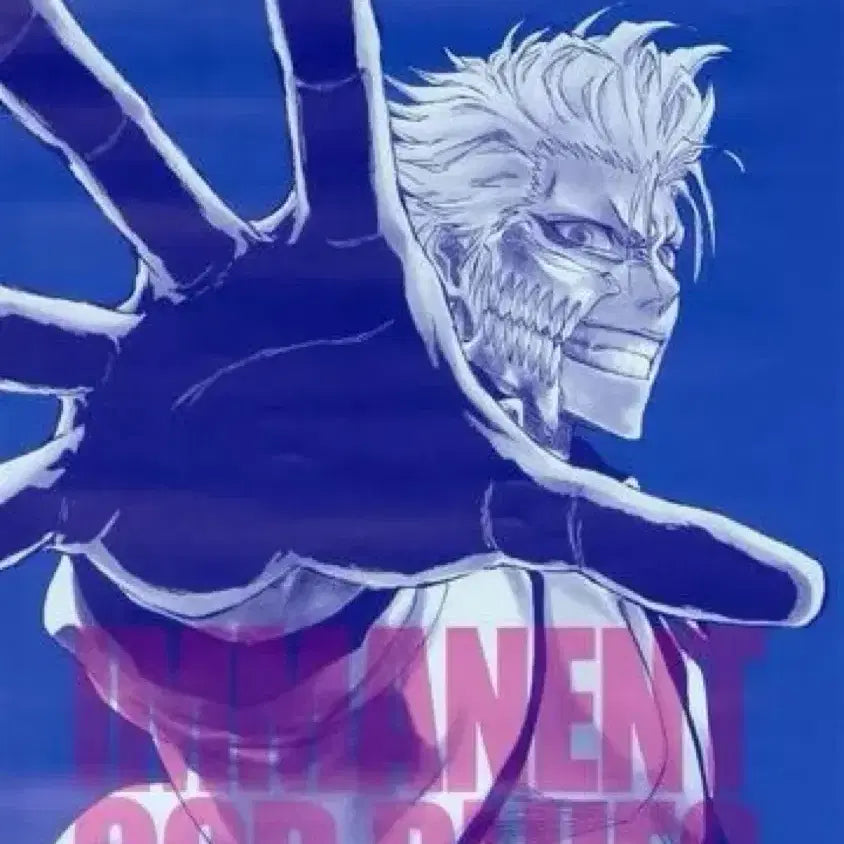 [BUNJANG] Bleach Grimmjow Poster / 그림죠 포스터 BLEACH