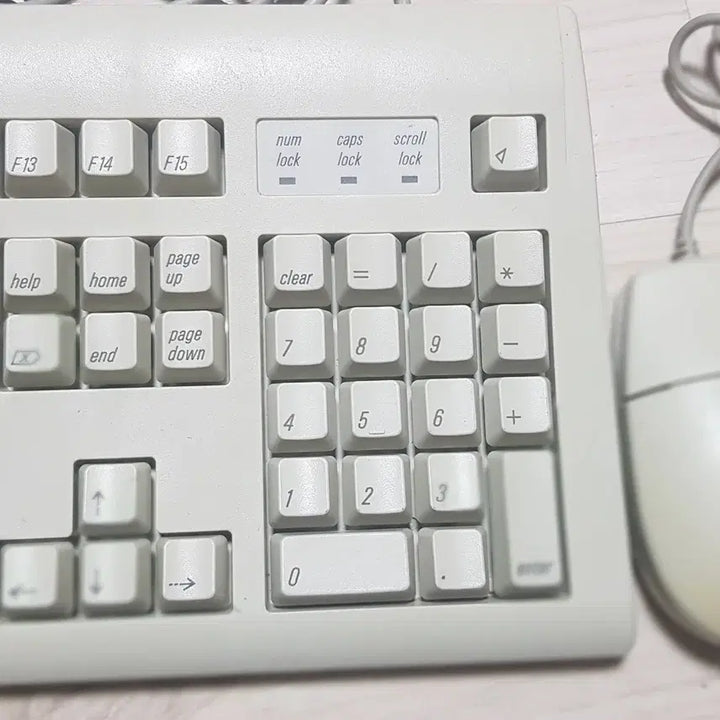 [BUNJANG] Apple M2980 Keyboard and Mouse Set / 수집용 - 90년대 애플컴퓨터 키보드(M2980)+마우스 (단자모양O)
