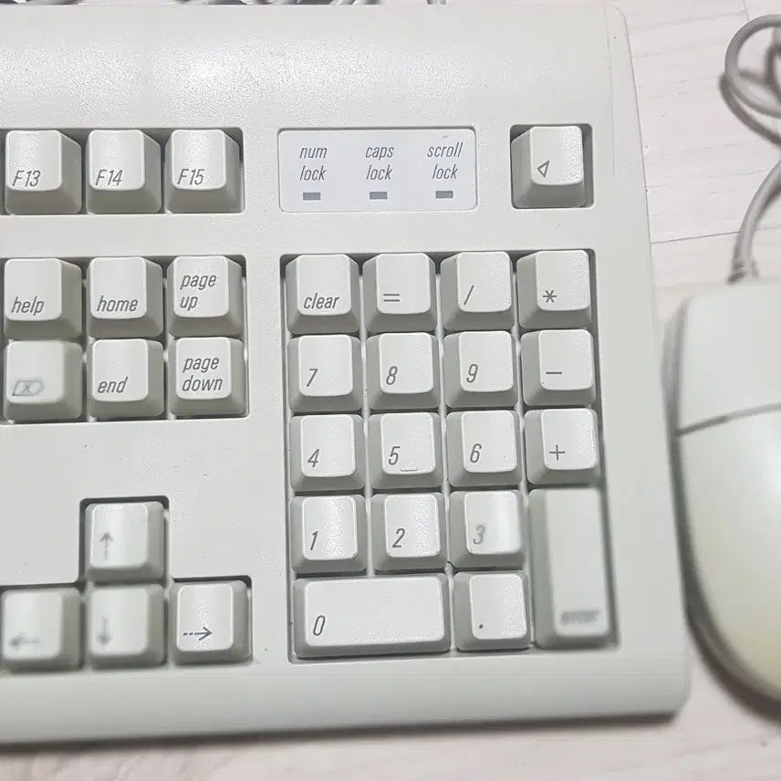 [BUNJANG] Apple M2980 Keyboard and Mouse Set / 수집용 - 90년대 애플컴퓨터 키보드(M2980)+마우스 (단자모양O)