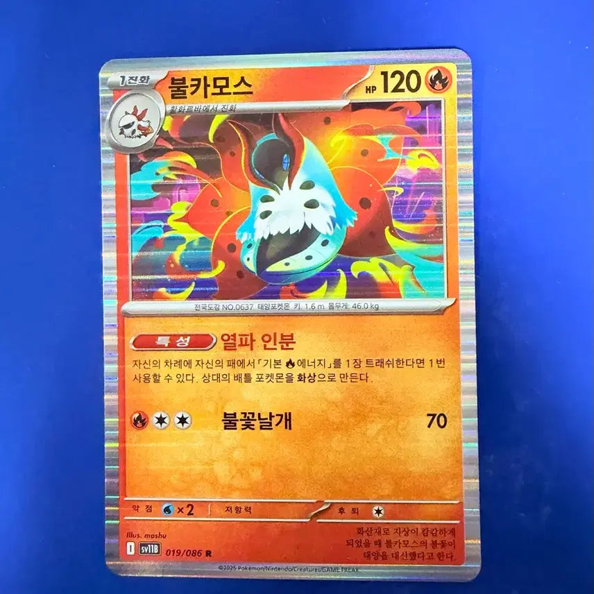 [BUNJANG] Pokemon Volcarona Card / 포켓몬카드 불카모스 카드
