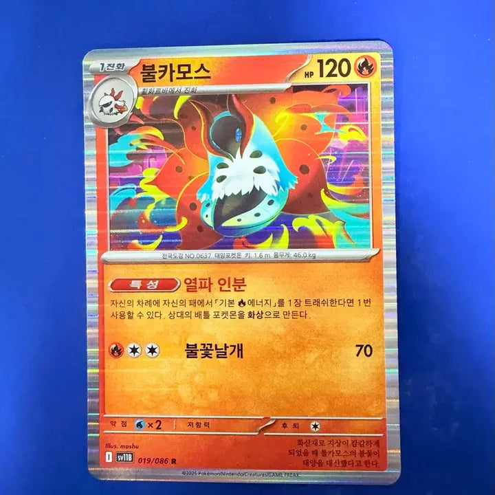 [BUNJANG] Pokemon Volcarona Card / 포켓몬카드 불카모스 카드