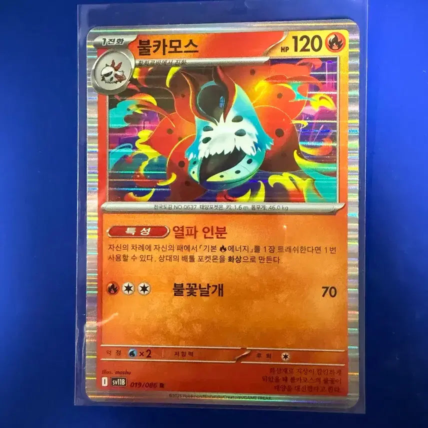 [BUNJANG] Pokemon Volcarona Card / 포켓몬카드 불카모스 카드