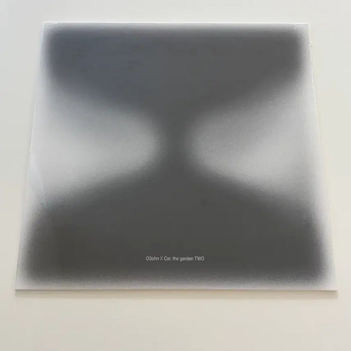 [BUNJANG] O3ohn x Car the garden TWO Cool Gray LP / 오존 X 카더가든 - TWO [쿨 그레이 컬러 LP]