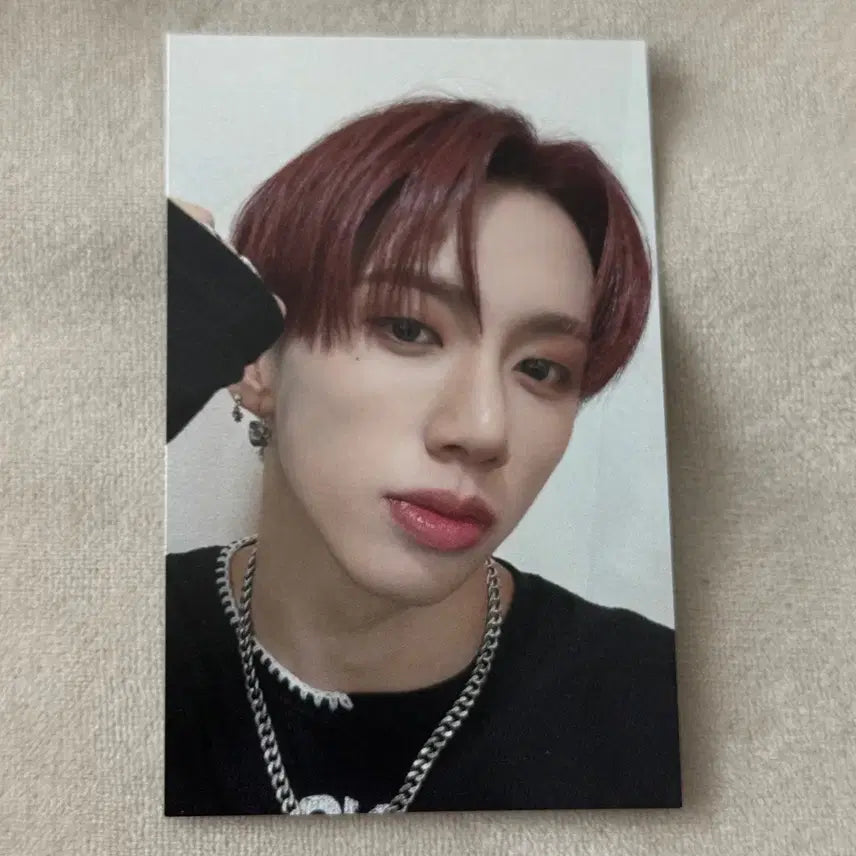 [BUNJANG] DKB Harry-June Emotion Japanese HMV POB Photocard / 다크비 해리준 이모션 일본 HMV 미공포 특전 포카