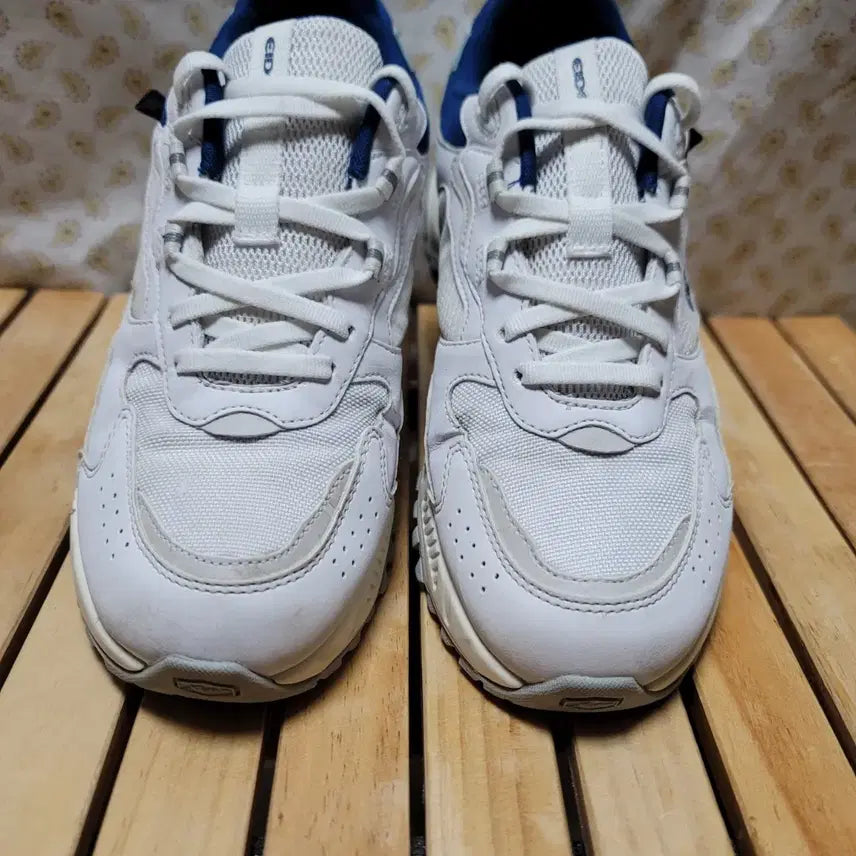 [BUNJANG] Aider Mirage OG Sneakers 255 / 아이더 운동화 255