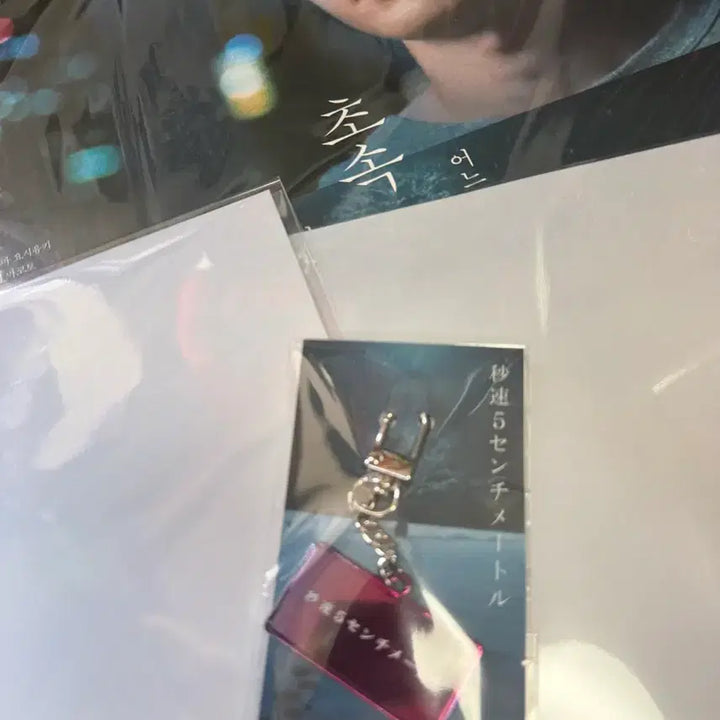 [BUNJANG] 5 Centimeters Per Second Poster Bundle / 초속5센티미터 포스터 3종+무비타이틀 일괄