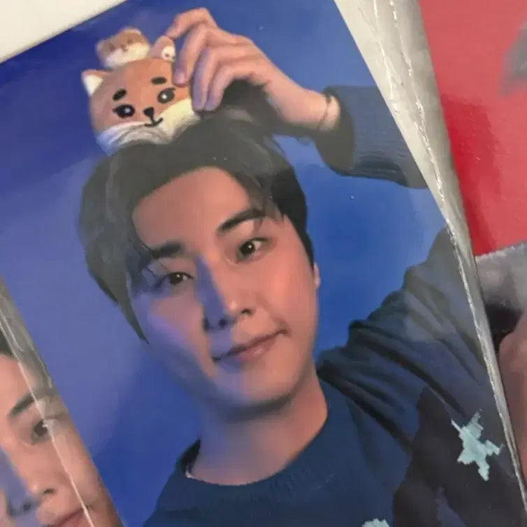 [SOLD OUT] 데이식스 영케이 클콘 온라인 5만포카