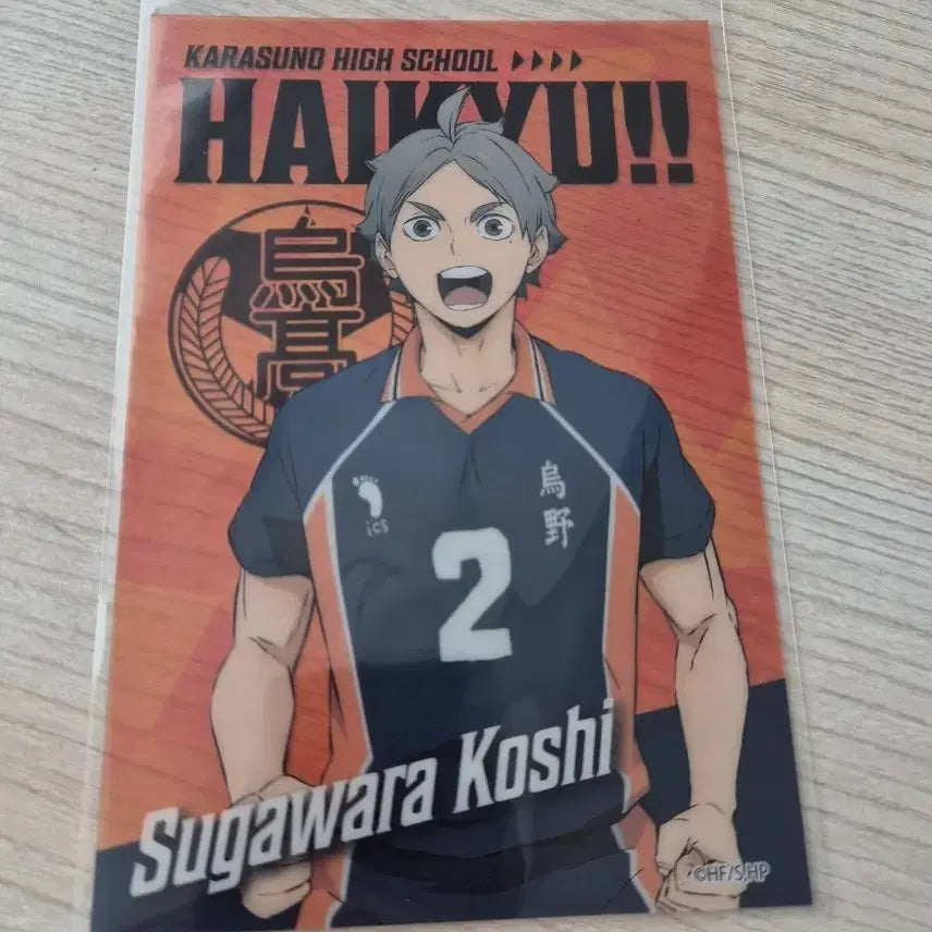 [BUNJANG] Haikyu Sugawara Koshi Photocard / 하이큐 스가와라 코시 포토카드(새상품)