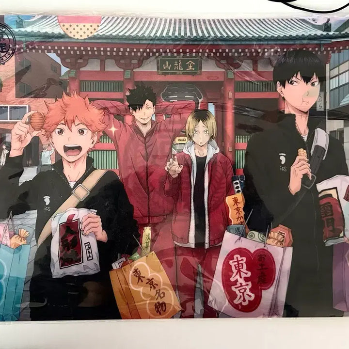 [BUNJANG] Haikyu!! Tokyo Limited Edition Clear File / 하이큐!! 도쿄 한정 클리어 파일