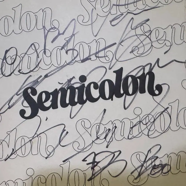 [BUNJANG] Seventeen Semicolon Signed Album / 비매 세븐틴 세미콜론 semicolon seventeen 친필 싸인 사인