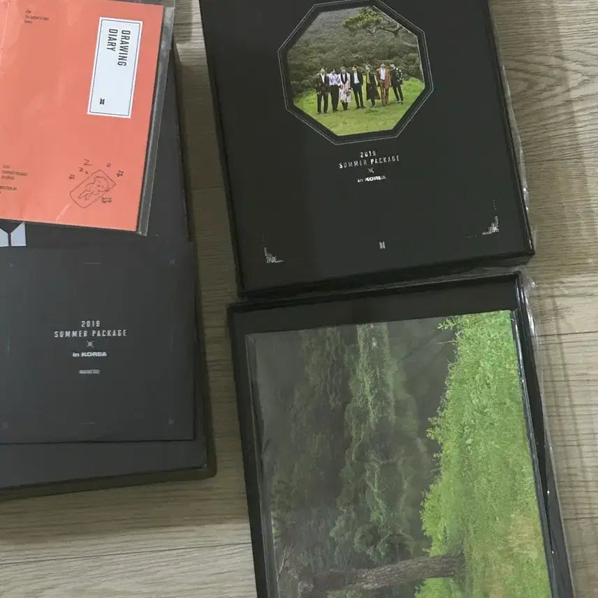 [BUNJANG] BTS V 2019 Summer Package DVD + Drawing Diary / (풀박) 방탄소년단 BTS 2019 썸머패키지 DVD, 뷔 드로잉다이어리