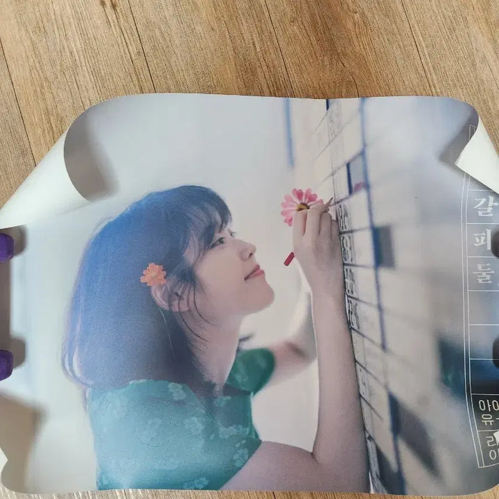 [SOLD OUT] 아이유 꽃갈피 둘 포스터 두종류 일괄
