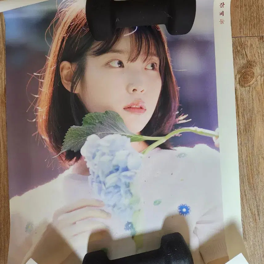 [SOLD OUT] 아이유 꽃갈피 둘 포스터 두종류 일괄