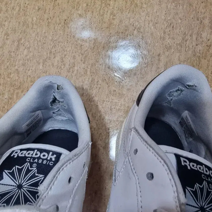 [BUNJANG] Reebok Club C White Black Sneakers / 리복 클래식 클럽C 화이트블랙 265