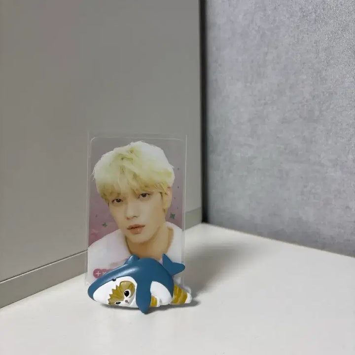 [BUNJANG] TXT Tomorrow x Together Transparent Photocard / TXT 투모로우바이투게더 투바투 투명 포카! 원가