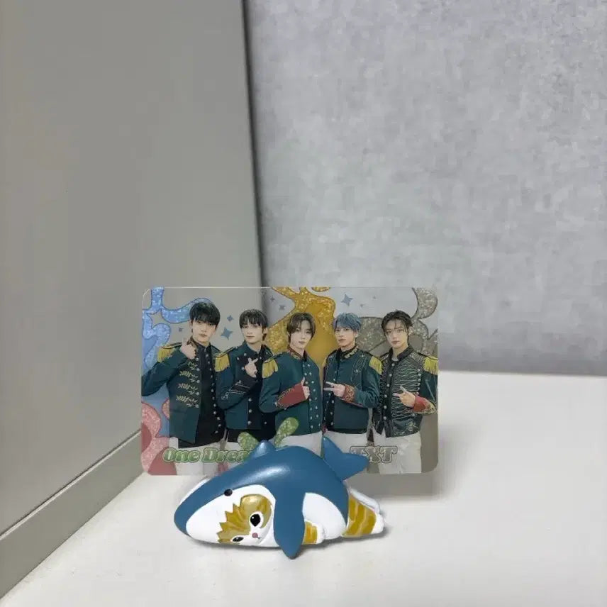 [BUNJANG] TXT Tomorrow x Together Transparent Photocard / TXT 투모로우바이투게더 투바투 투명 포카! 원가