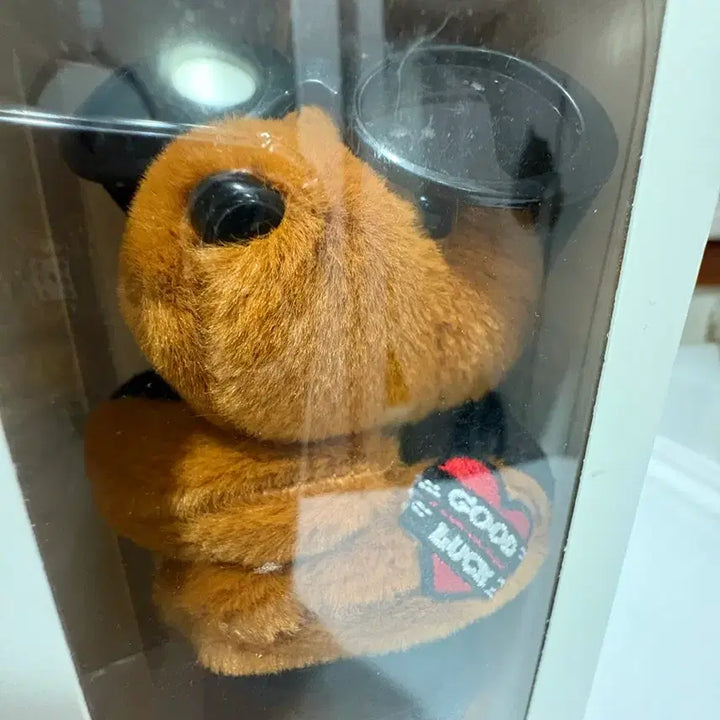 [SOLD OUT] 덱스 밀리곰 인형 팔아요