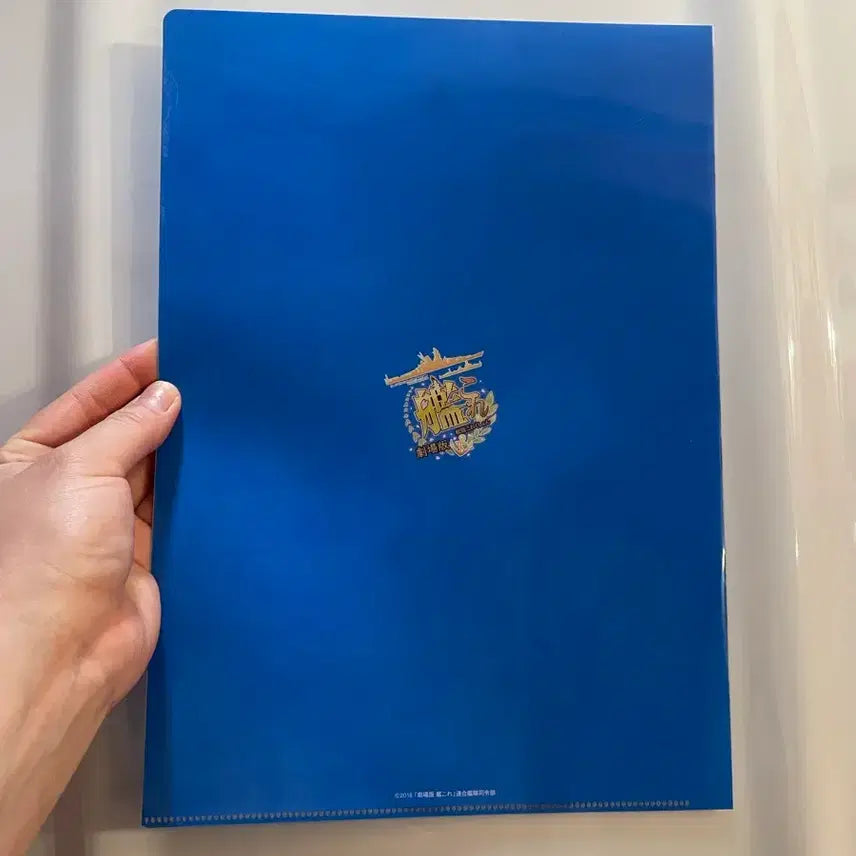 [BUNJANG] Japanese Anime A4 Clear File / (새상품) 일본정품 a4 미소녀 클리어파일