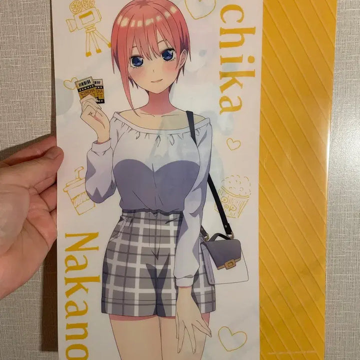 [BUNJANG] Japanese A4 Misogirl Clear File / (새상품) 일본정품 a4 미소녀 클리어파일