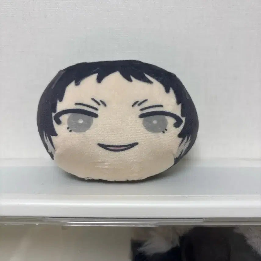 [BUNJANG] Bungou Stray Dogs Akutagawa Plush / 문스독 아쿠타가와 누이