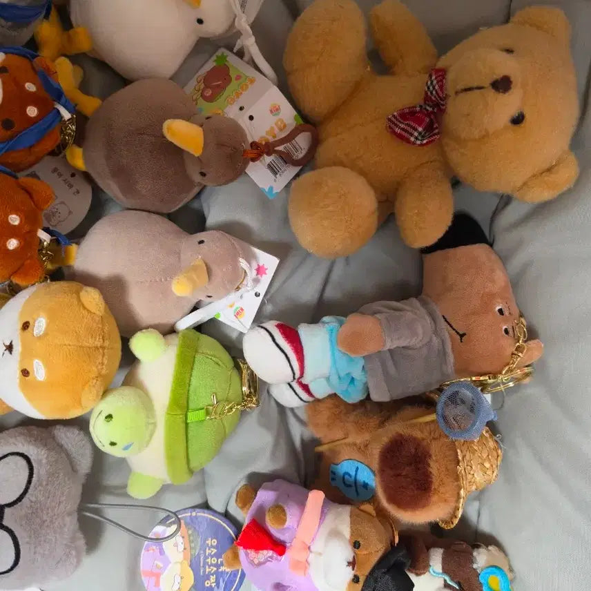 [BUNJANG] K-Pop Keychain Bundle Set / 전부 2000원)) 인형 키링 양도
