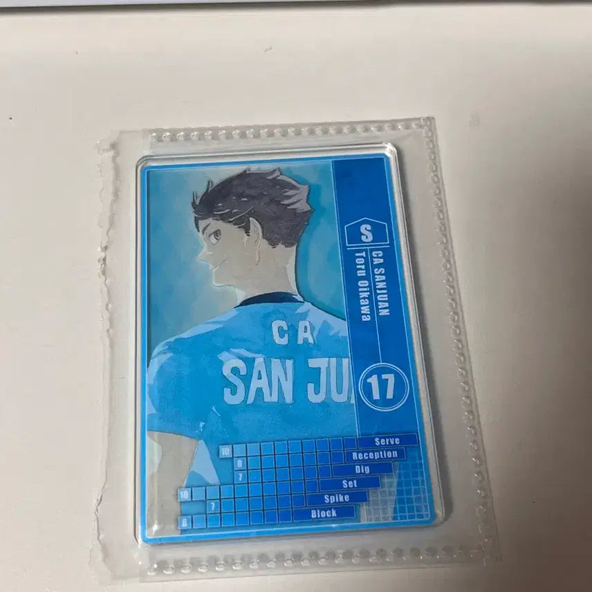 [SOLD OUT] 하이큐 오이카와 스테이터스
