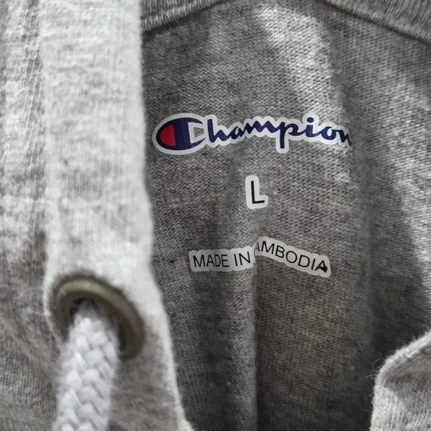 [BUNJANG] Champion Spell Logo Printed Hoodie Long Sleeve L / 챔피온 스펠로고 프린팅 후드 롱슬리브 L