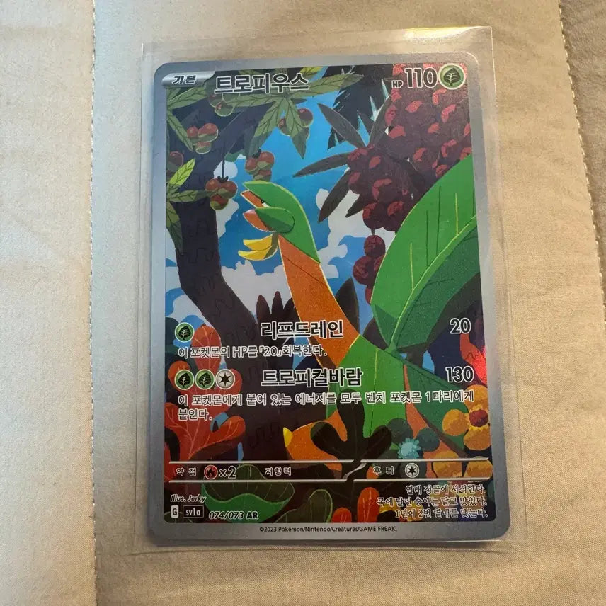 [BUNJANG] Pokemon Tropius AR Card / 포켓몬 트로피우스 AR 카드