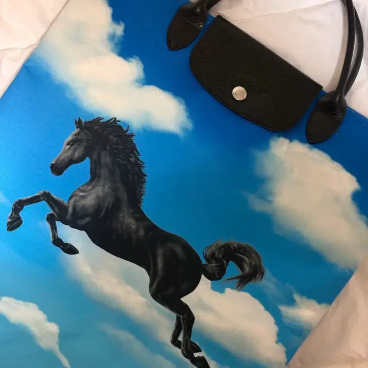 [BUNJANG] Longchamp x Toiletpaper Tote Bag / [희귀 매물/상태 최상] 롱샴 X 토일렛페이퍼 토트백