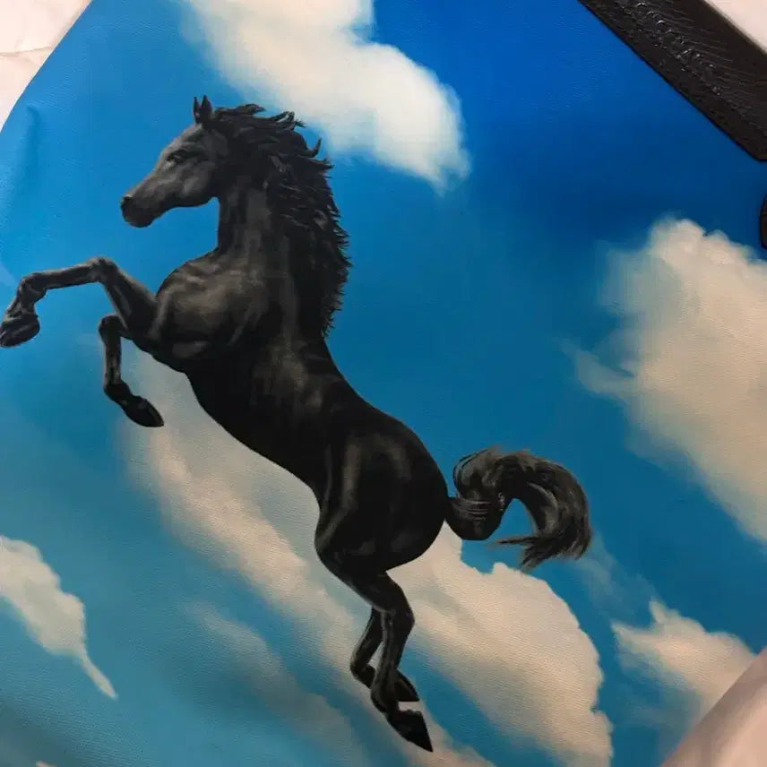 [BUNJANG] Longchamp x Toiletpaper Tote Bag / [희귀 매물/상태 최상] 롱샴 X 토일렛페이퍼 토트백