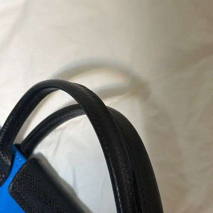 [BUNJANG] Longchamp x Toiletpaper Tote Bag / [희귀 매물/상태 최상] 롱샴 X 토일렛페이퍼 토트백