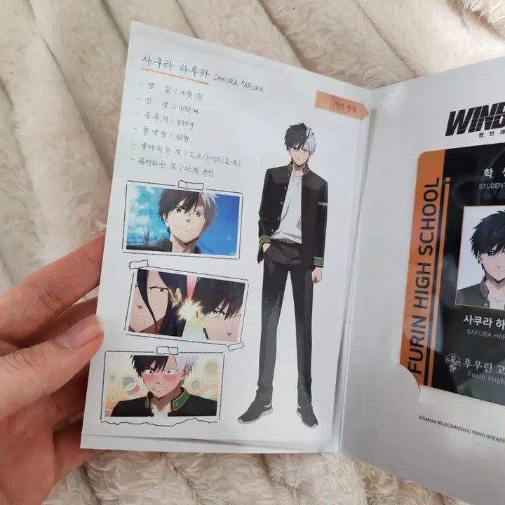 [BUNJANG] Wind Breaker Fūrin High School Sakura Student ID Card / 윈브레 후우린 고등학교 사쿠라 학생증 윈드 브레이크