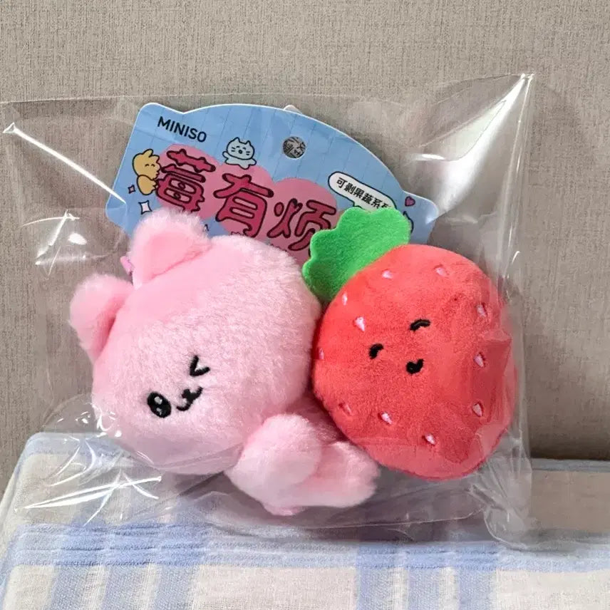 [BUNJANG] Miniso Choegosim Message Keyring Set / 미니소 최고심 메세지 키링