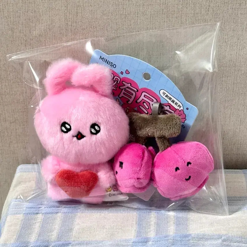 [BUNJANG] Miniso Choegosim Message Keyring Set / 미니소 최고심 메세지 키링