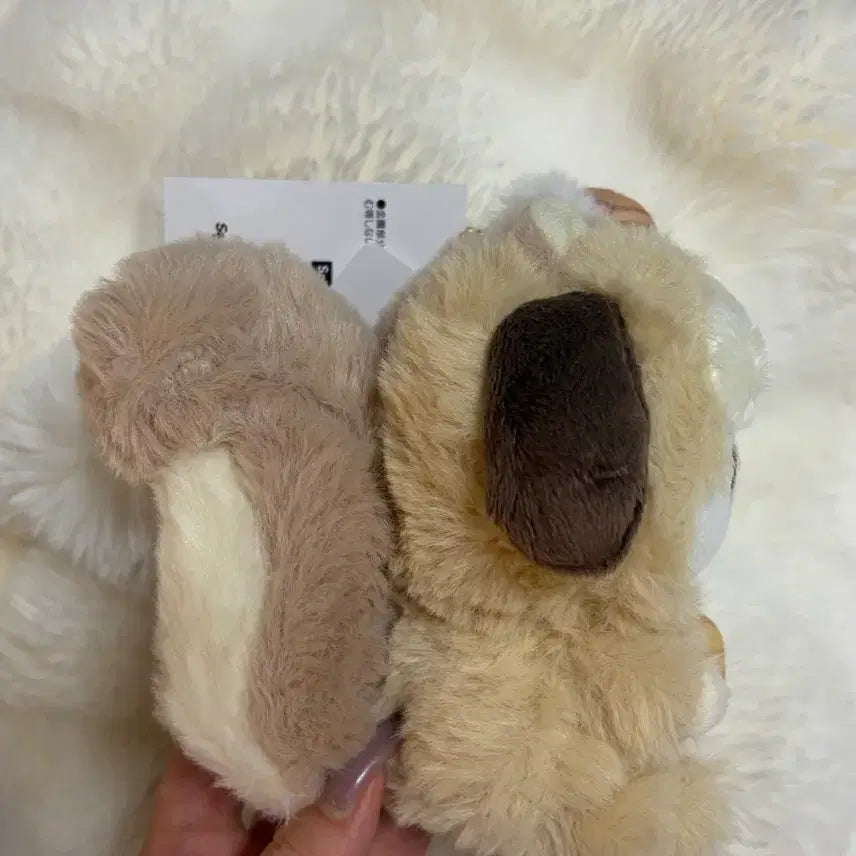 [BUNJANG] Sanrio Pochacco Squirrel Keychain / 산리오 다람쥐포차코인형키링