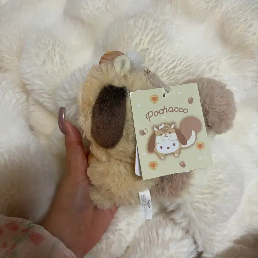 [BUNJANG] Sanrio Pochacco Squirrel Keychain / 산리오 다람쥐포차코인형키링