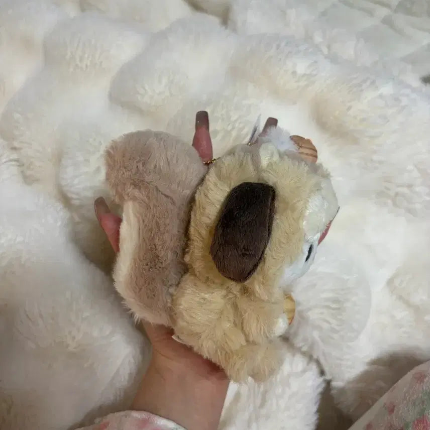 [BUNJANG] Sanrio Pochacco Squirrel Keychain / 산리오 다람쥐포차코인형키링