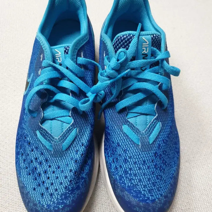[BUNJANG] Nike Air Max Blue Sneakers (Size 225) / 나이키 에어맥스 블루 운동화 225