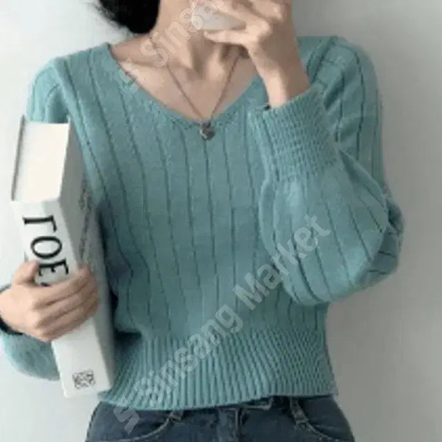 [BUNJANG] V-Neck Ribbed Knit Sweater / 브이넥 골지 니트 (베이지/핑크/블루/레드/블랙)