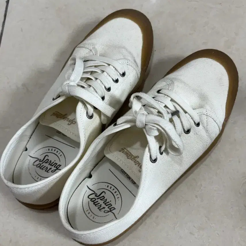 [SOLD OUT] 스프링코트 스니커즈 250