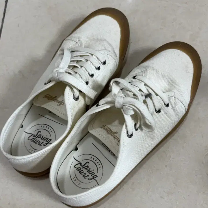 [SOLD OUT] 스프링코트 스니커즈 250