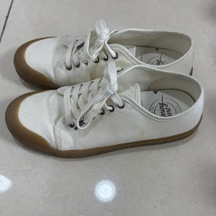 [SOLD OUT] 스프링코트 스니커즈 250