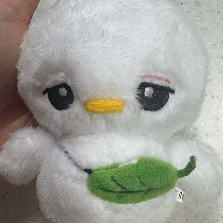 [SOLD OUT] 몬스타엑스 형원 비공굿 인형 쏙독채