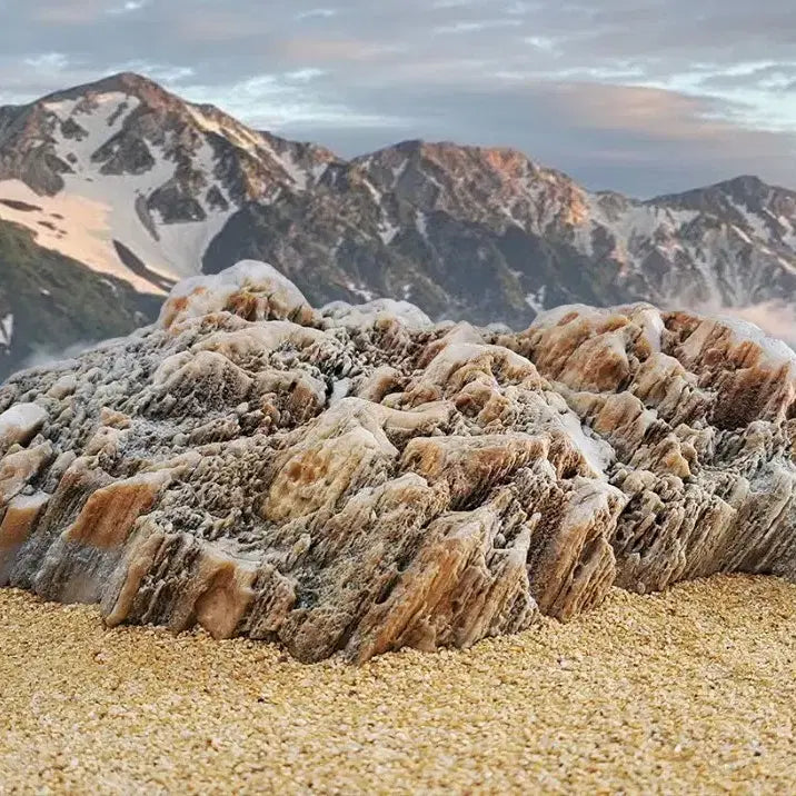 [BUNJANG] Unidentified Stone Sculpture / 천사친구수석