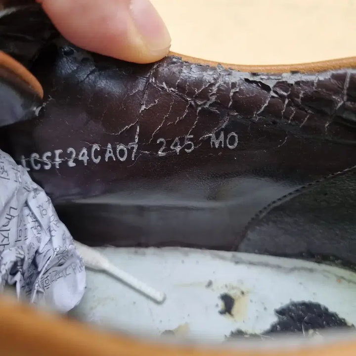 [BUNJANG] Elcanto Leather Sneakers 245 / 엘칸토 가죽스니커즈 245