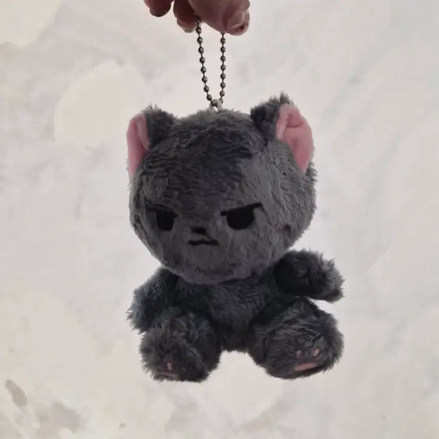 [BUNJANG] Seventeen Wonwoo Doll / 원우 인형 전복이