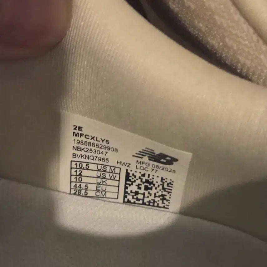 [BUNJANG] New Balance FuelCell Rebel v5 Running Shoes / 뉴발란스 퓨어셀 레벨v5 285(2e)