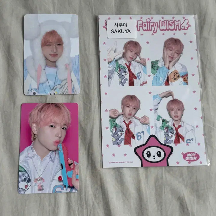 [SOLD OUT] 사쿠야 시그 네컷