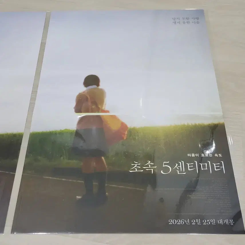[BUNJANG] 5 Centimeters Per Second Poster Set / [전용박스 안전포장] 초속5센티미터 포스터3종+천문수첩+무비타이틀