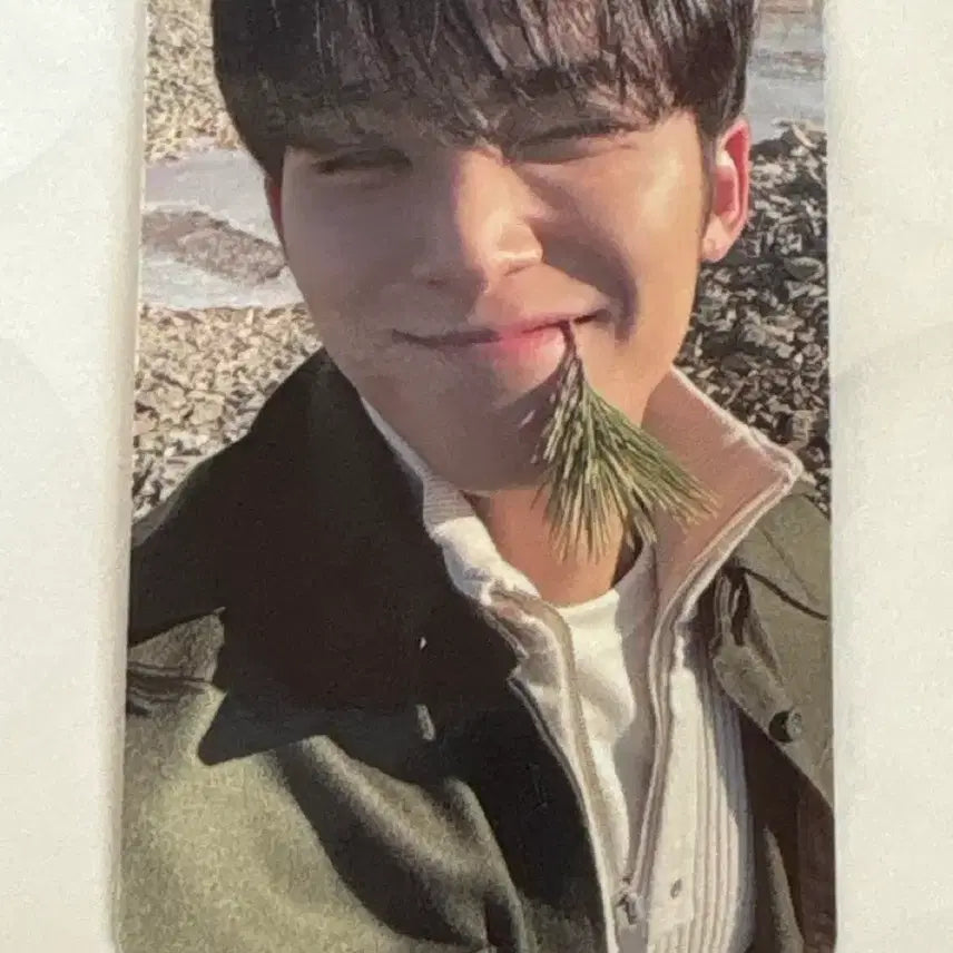 [BUNJANG] SEVENTEEN Mingyu Photocard / 세븐틴 민규 포카